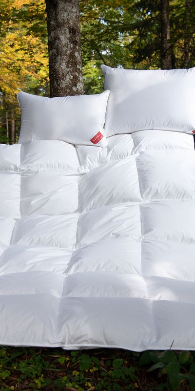 Hefel Marke Galerie 4